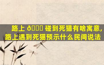 路上 🐎 碰到死猫有啥寓意,路上遇到死猫预示什么民间说法